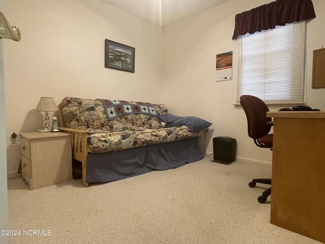 bedroom with light carpet