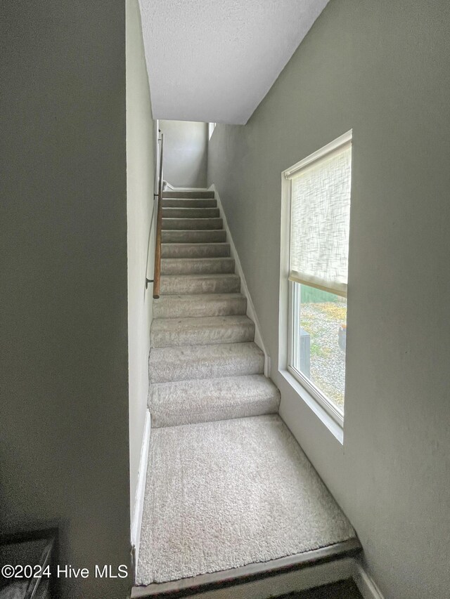 stairs with carpet, plenty of natural light, and a textured ceiling