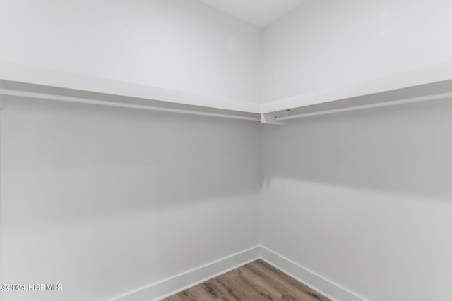 spacious closet with hardwood / wood-style flooring