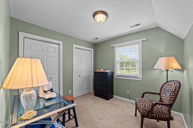 sitting room featuring light colored carpet, a textured ceiling, and lofted ceiling