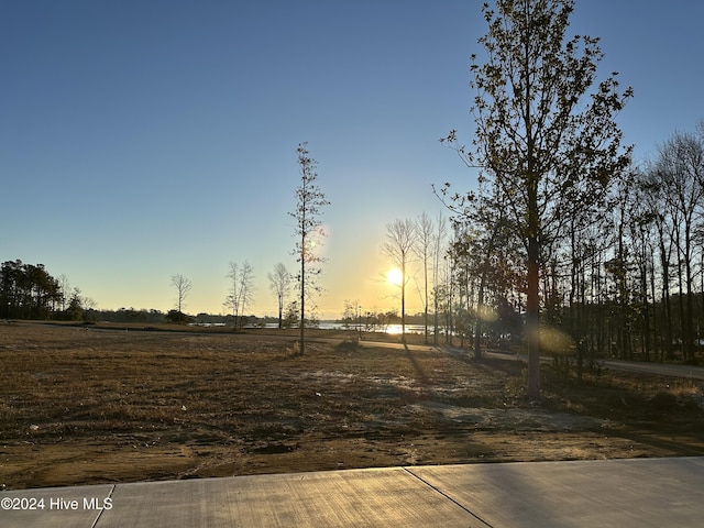 view of yard at dusk