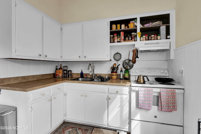 kitchen with sink, electric range, exhaust hood, and white cabinets