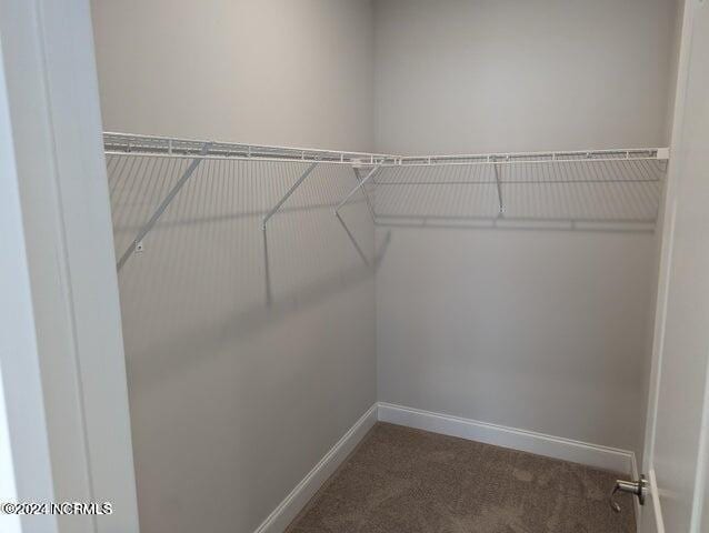 81 Fishing Creek Dr, New Bern, NC 28562 - walk in closet with carpet floors