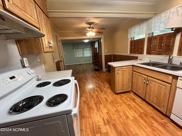 kitchen with white appliances, light wood finished floors, a ceiling fan, under cabinet range hood, and a sink