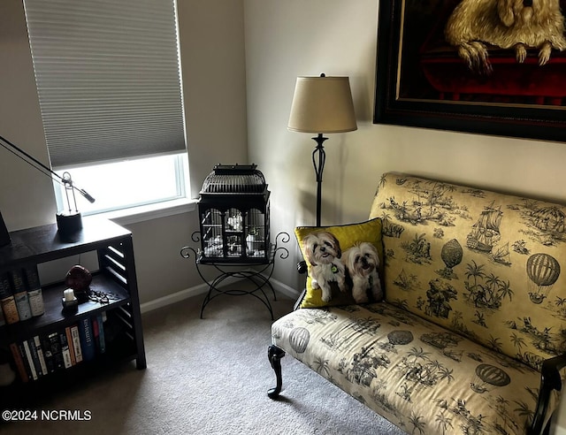 sitting room featuring carpet