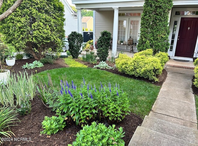 view of yard featuring covered porch