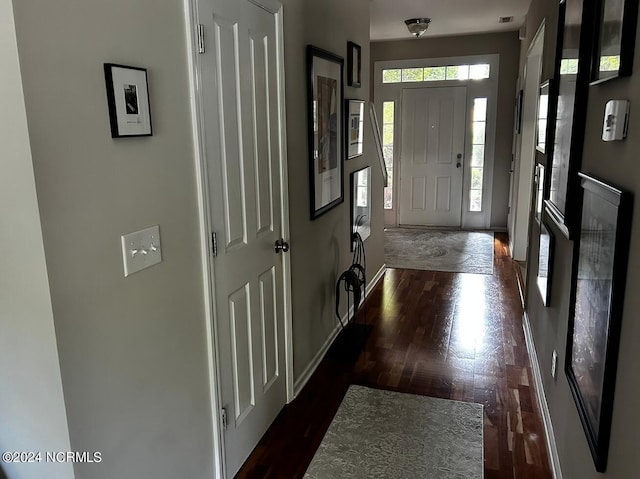 entrance foyer with dark hardwood / wood-style flooring