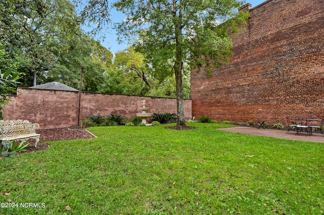 view of yard featuring a patio