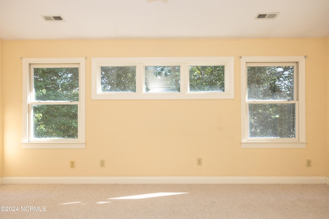 spare room featuring carpet floors and a healthy amount of sunlight