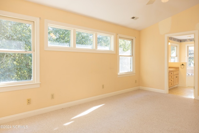 spare room with light colored carpet and a healthy amount of sunlight