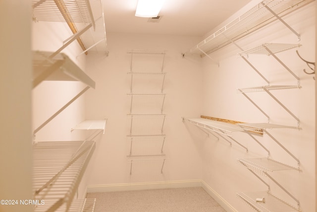 spacious closet with carpet