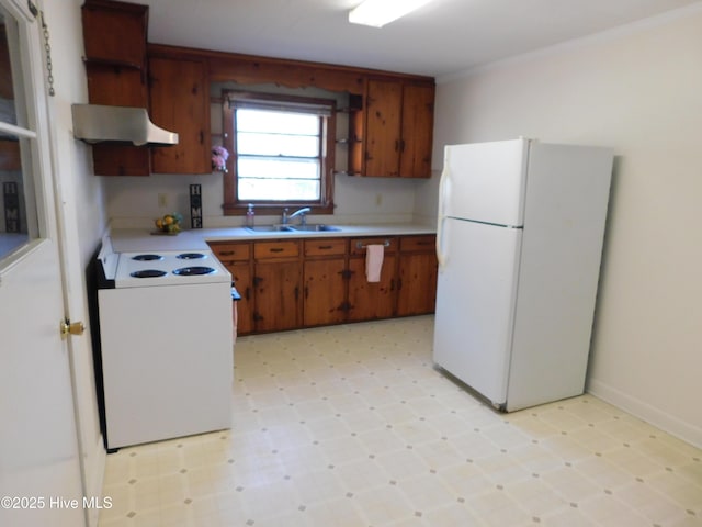 kitchen featuring white appliances, crown molding, and sink