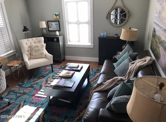 living room with wood-type flooring