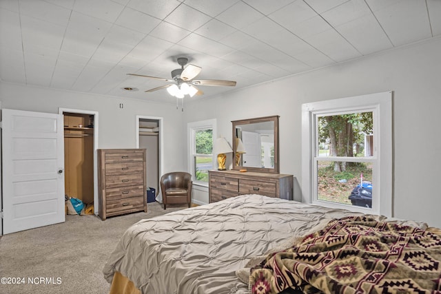 bedroom with a walk in closet, a closet, light colored carpet, and ceiling fan