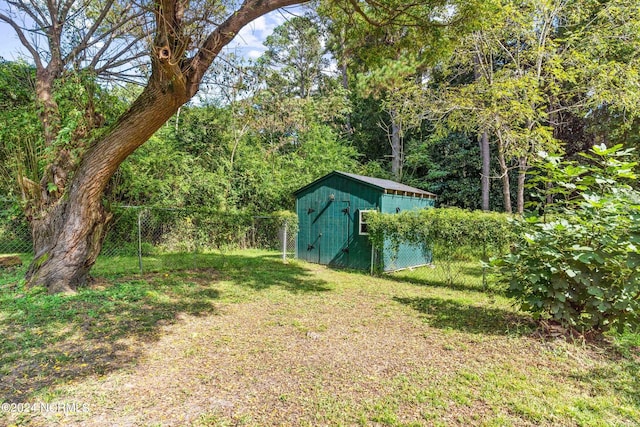 view of yard with a storage unit