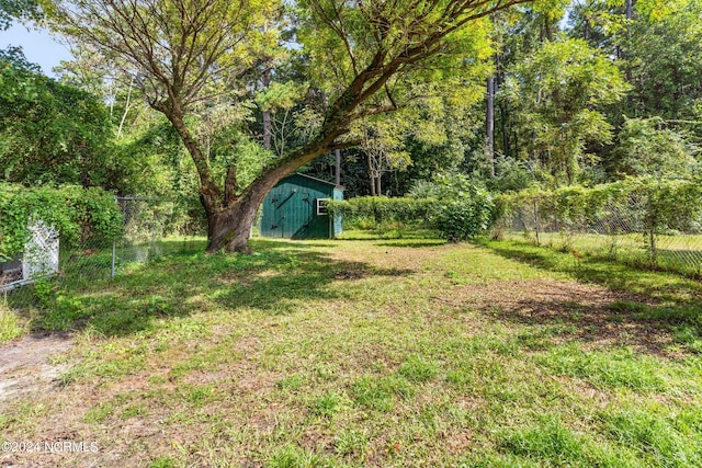 view of yard featuring a storage shed