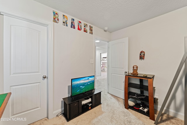 living room featuring a textured ceiling and carpet flooring