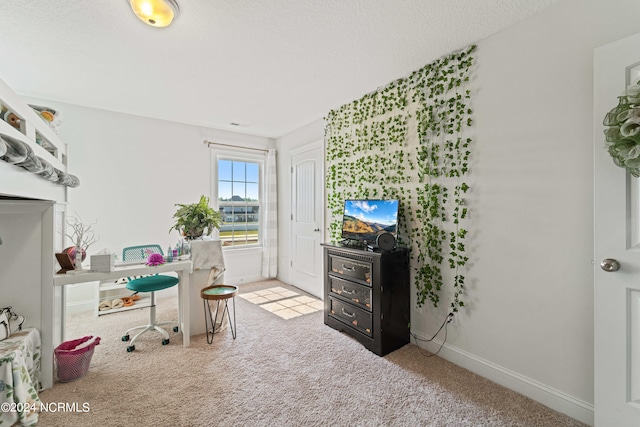 view of carpeted office space