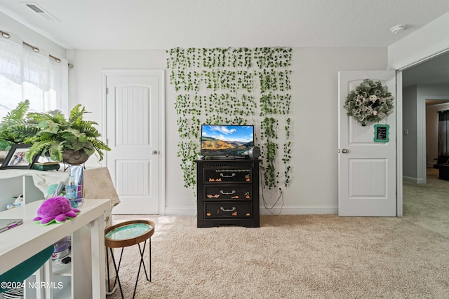 living room with a textured ceiling and carpet