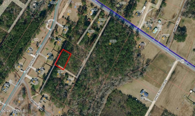 46ACRES NC Highway 210, Rocky Point, NC 28457