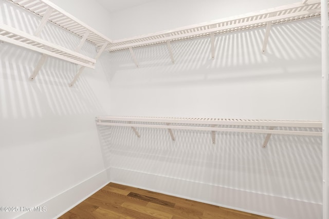 spacious closet featuring wood-type flooring