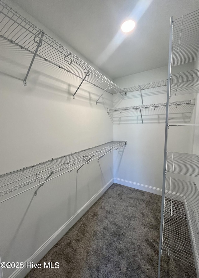 spacious closet with carpet floors