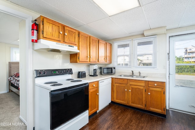 kitchen with dark hardwood / wood-style floors, sink, white appliances, and a healthy amount of sunlight