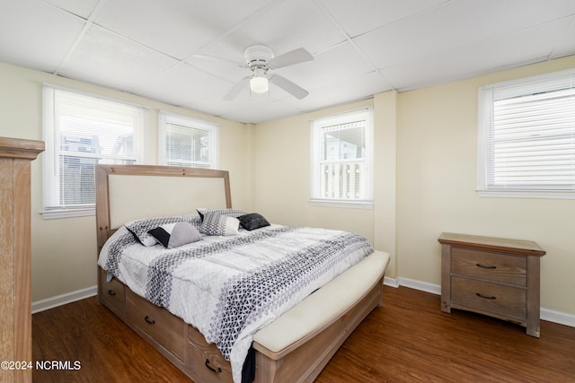 bedroom featuring a drop ceiling, dark hardwood / wood-style flooring, and ceiling fan