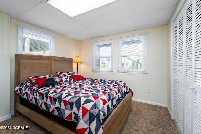 carpeted bedroom with multiple windows