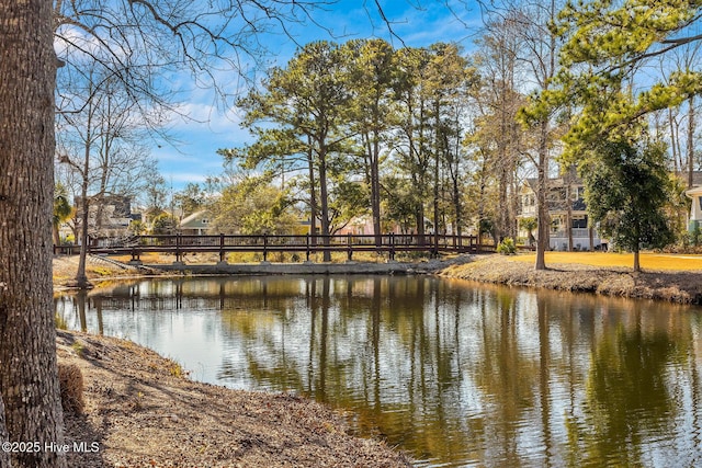 property view of water