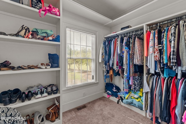 walk in closet with carpet floors and visible vents