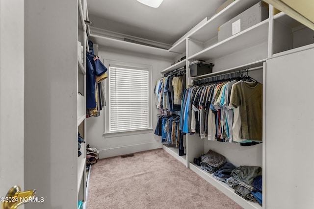 spacious closet featuring carpet flooring and visible vents