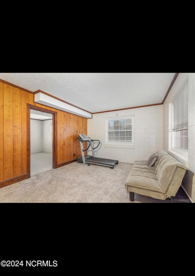 living room with ornamental molding, plenty of natural light, and carpet flooring