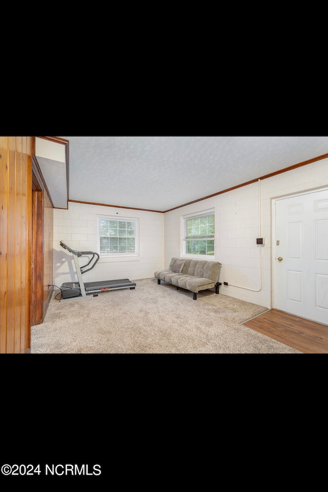 carpeted living room featuring a textured ceiling, wooden walls, and ornamental molding