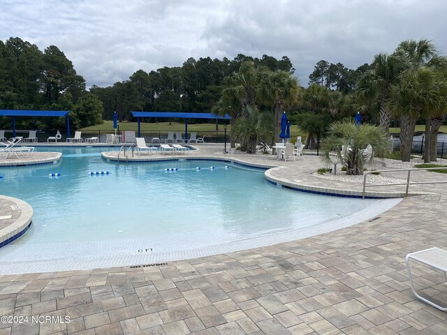 view of pool featuring a patio