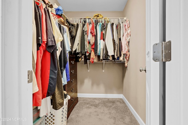 spacious closet with carpet flooring