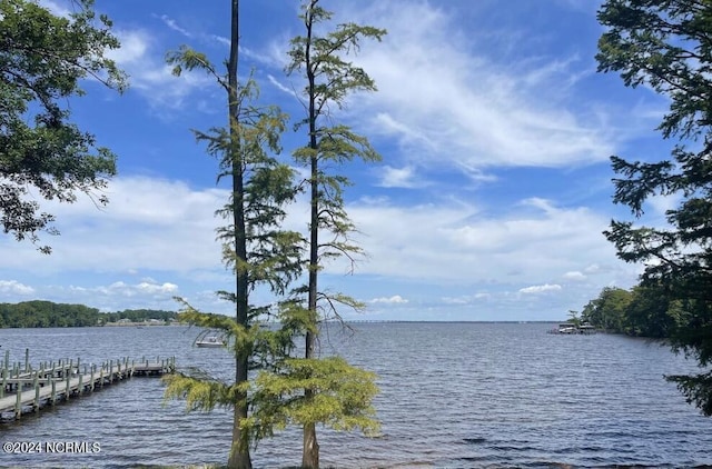 property view of water with a dock