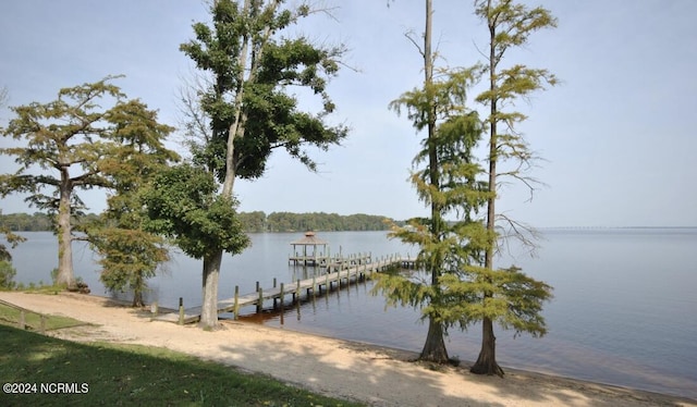 dock area with a water view