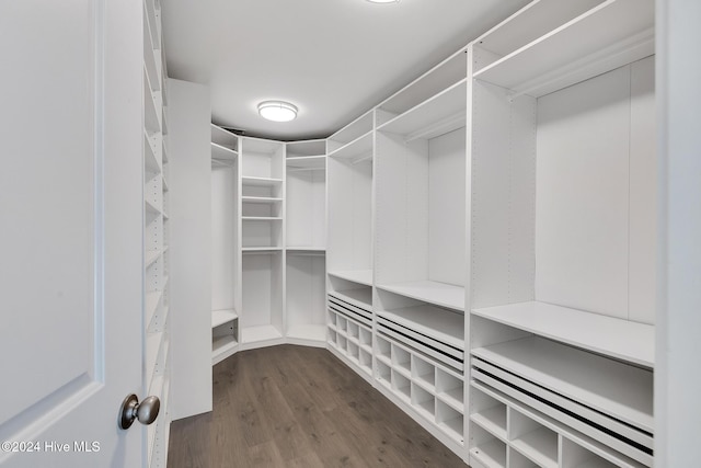 spacious closet with dark hardwood / wood-style floors