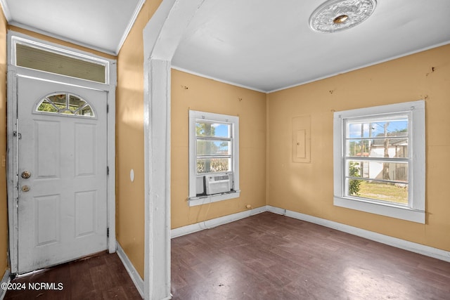 entryway featuring cooling unit, plenty of natural light, and dark hardwood / wood-style flooring