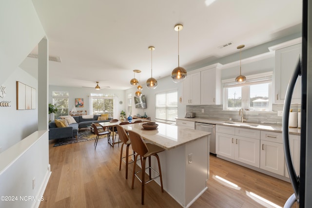 kitchen with white cabinetry, a healthy amount of sunlight, and stainless steel dishwasher