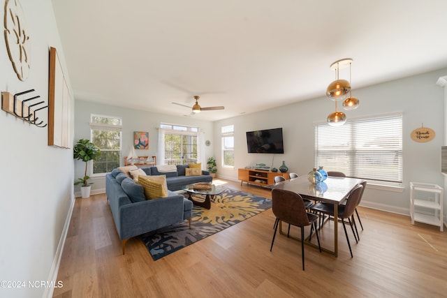 living room with ceiling fan and light hardwood / wood-style flooring