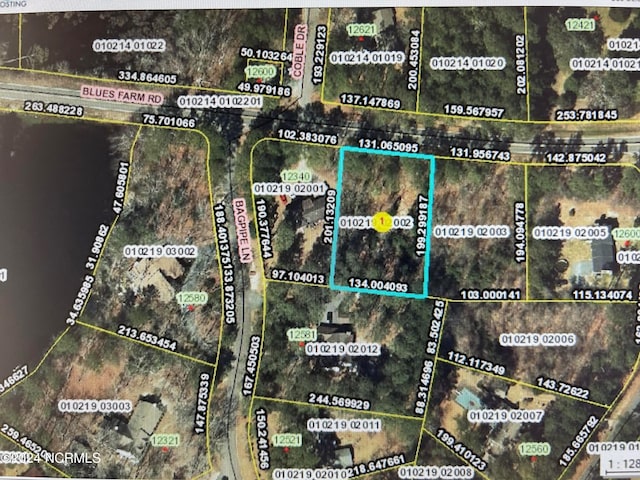 2 Blues Farm Rd, Laurinburg NC, 28352 land for sale