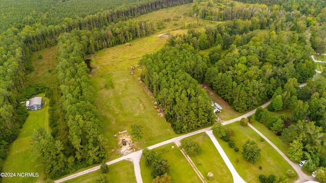 77 Indian Trl, Arapahoe, NC 28510 - drone / aerial view of a forest