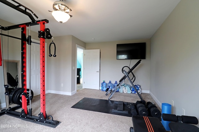 exercise area featuring carpet