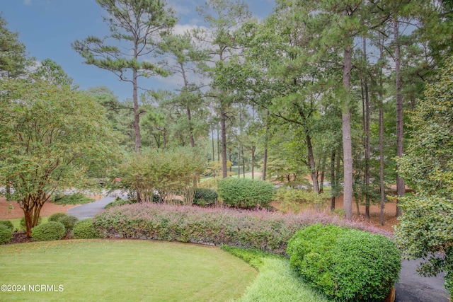 view of community with a lawn