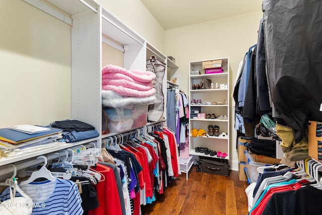 spacious closet featuring dark hardwood / wood-style floors