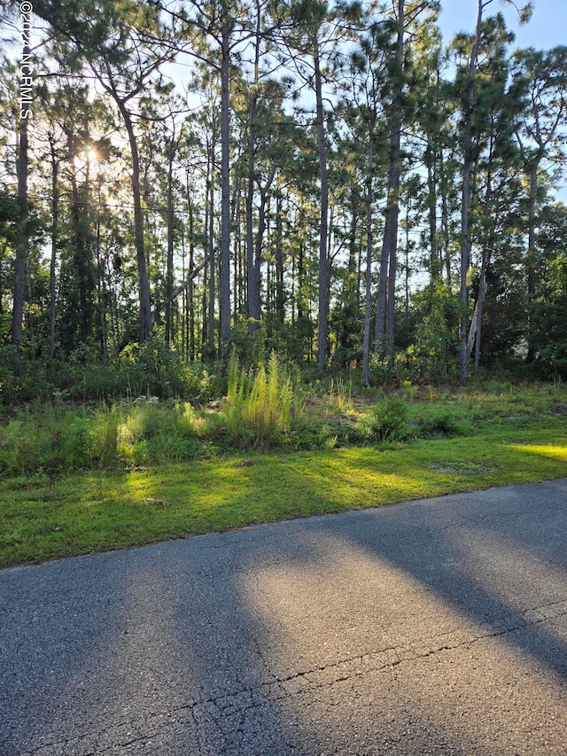 246 Harper Lake Dr Unit 21, Southport NC, 28461 land for sale