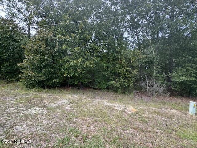 19 Ida Mill Rd Unit 19, Laurel Hill NC, 28351 land for sale