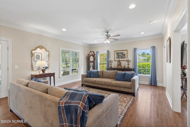 living room with crown molding, wood-type flooring, and ceiling fan